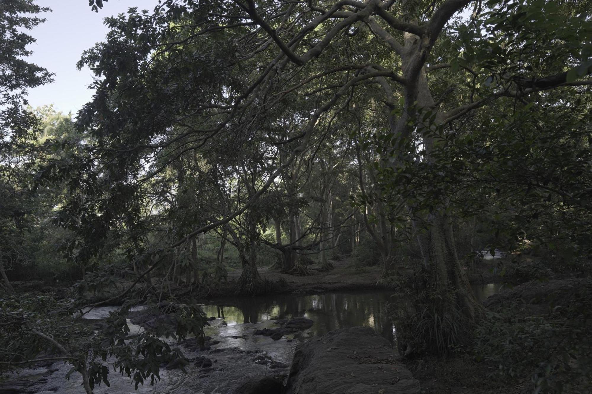 River Glamping by Gaga bees Udawalawe Bagian luar foto
