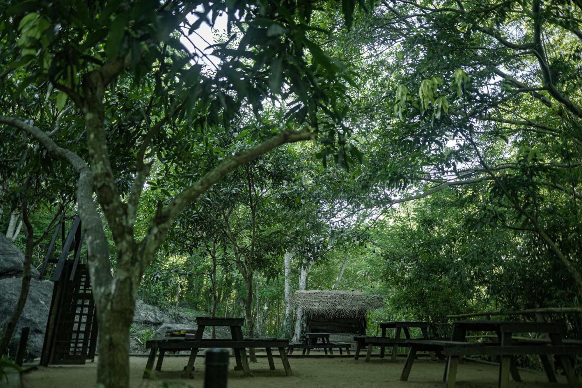 River Glamping by Gaga bees Udawalawe Bagian luar foto