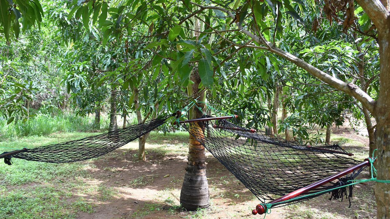 River Glamping by Gaga bees Udawalawe Bagian luar foto