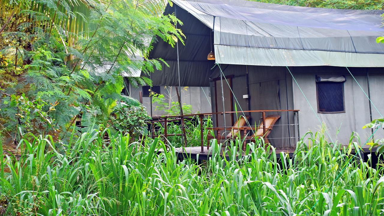 River Glamping by Gaga bees Udawalawe Bagian luar foto