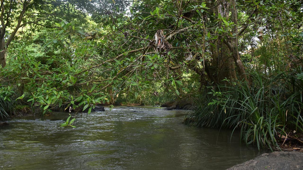 River Glamping by Gaga bees Udawalawe Bagian luar foto